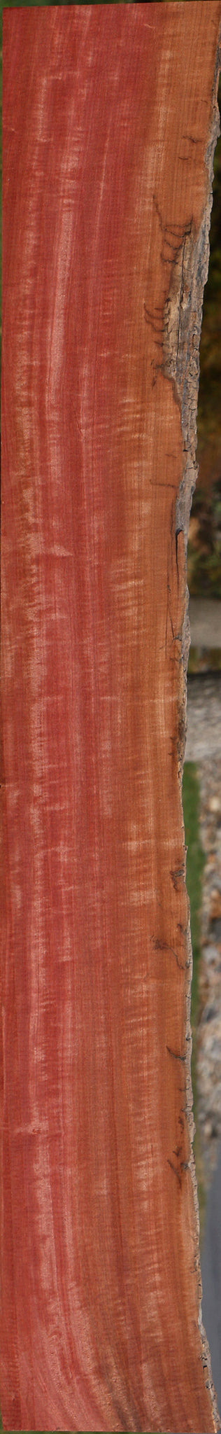 Extra Fancy Pink Ivory Live Edge Lumber