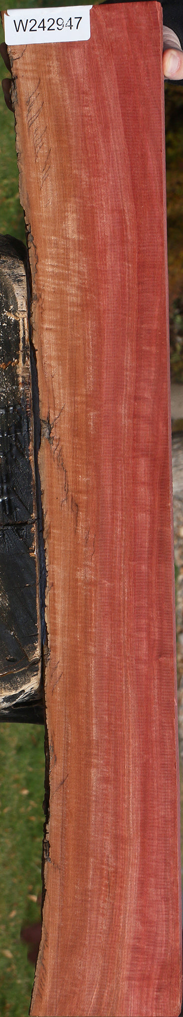 Extra Fancy Pink Ivory Live Edge Lumber