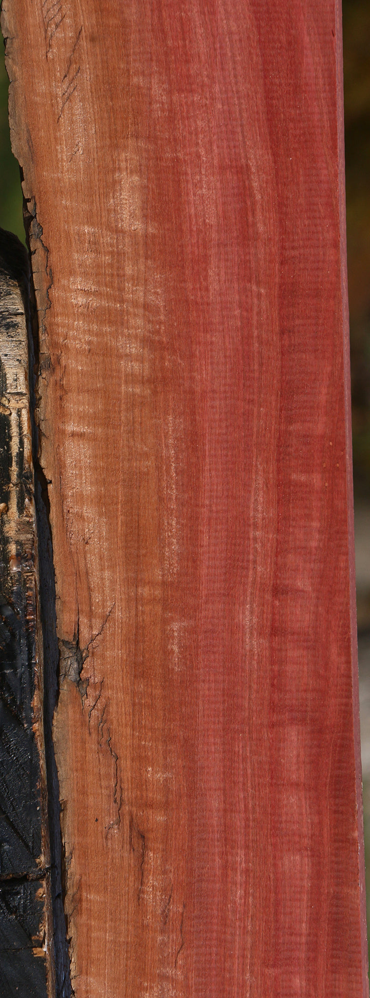 Extra Fancy Pink Ivory Live Edge Lumber