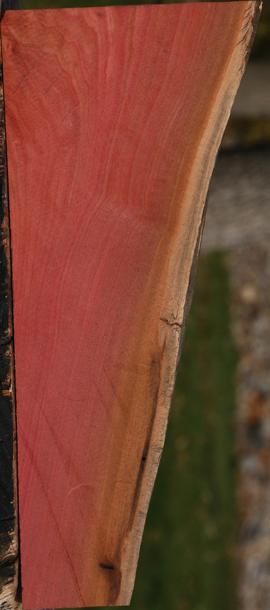 Pink Ivory Live Edge Lumber