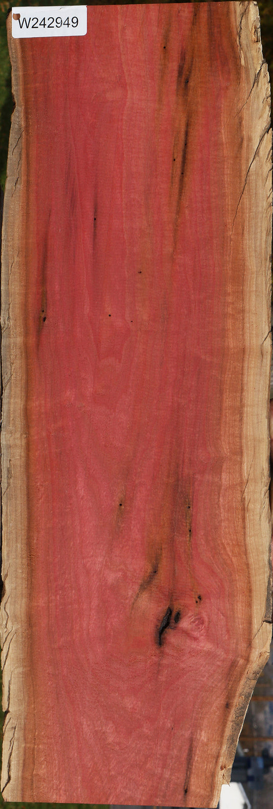 Figured Rustic Pink Ivory Live Edge Lumber