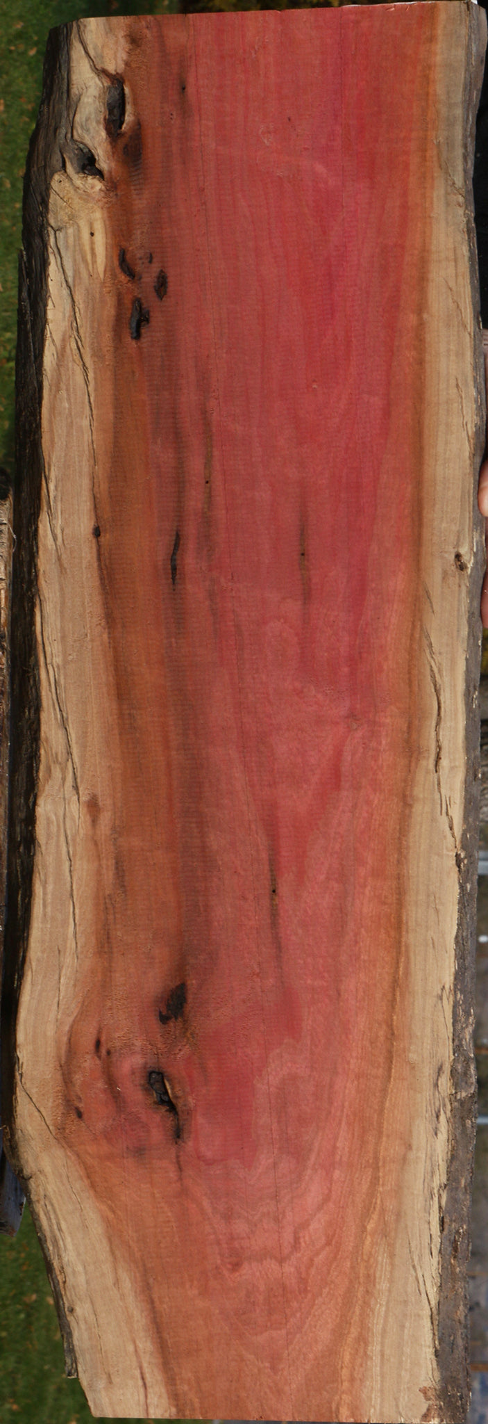 Figured Rustic Pink Ivory Live Edge Lumber