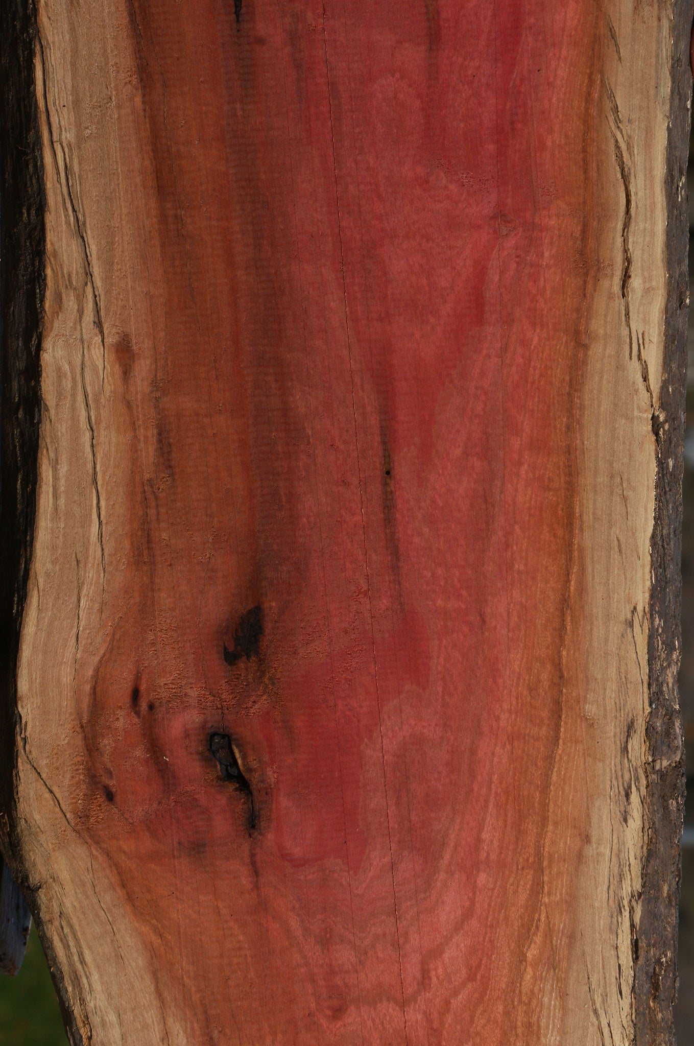 Figured Rustic Pink Ivory Live Edge Lumber
