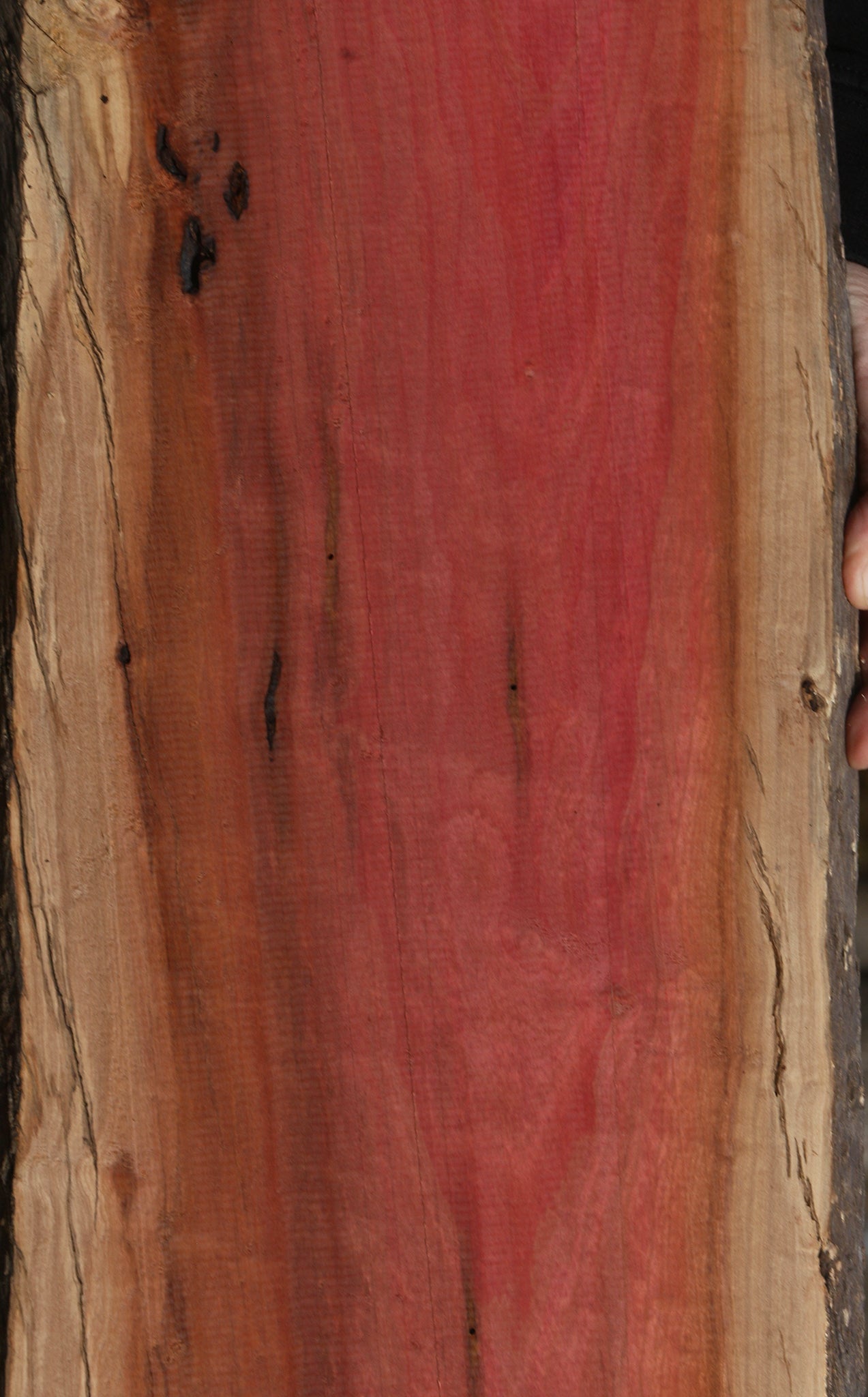 Figured Rustic Pink Ivory Live Edge Lumber