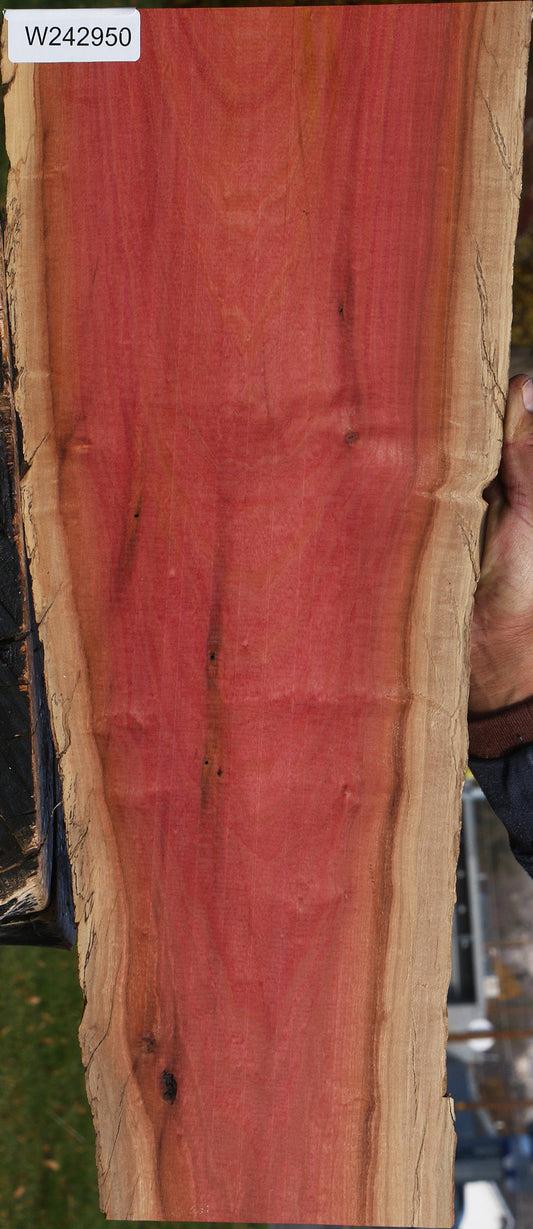 Figured Pink Ivory Live Edge Lumber