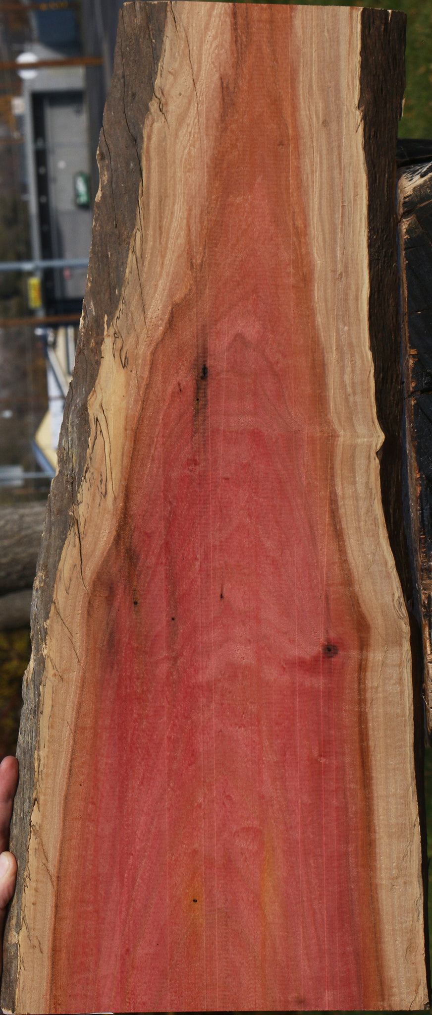 Figured Pink Ivory Live Edge Lumber