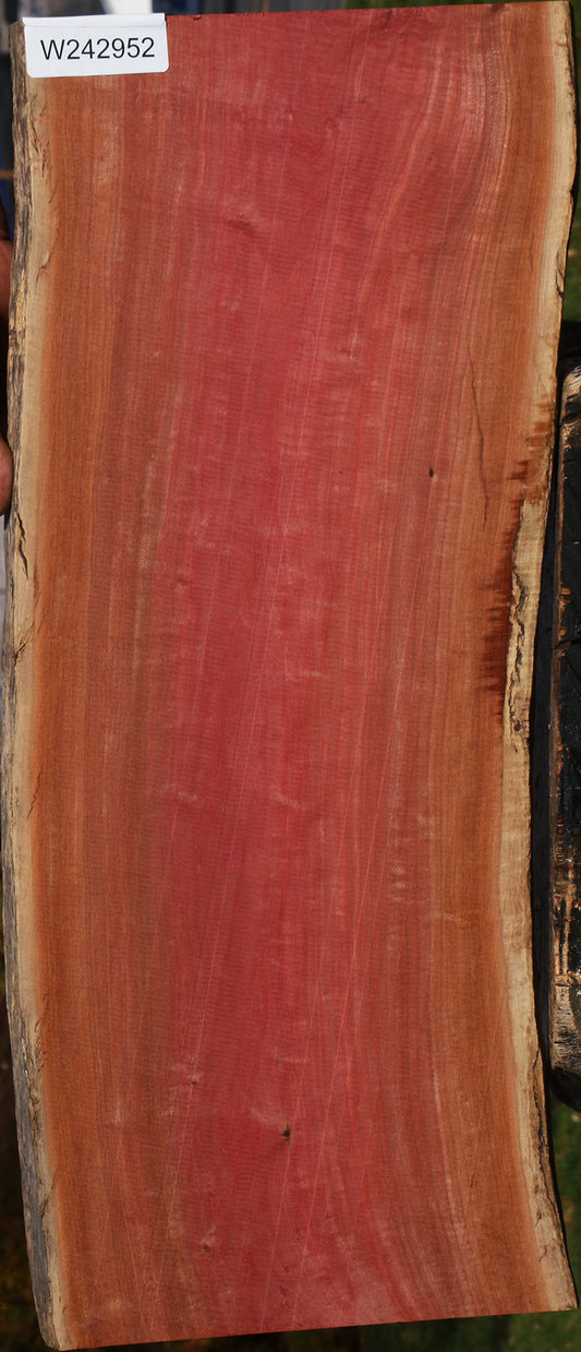 Figured Rustic Pink Ivory Live Edge Lumber
