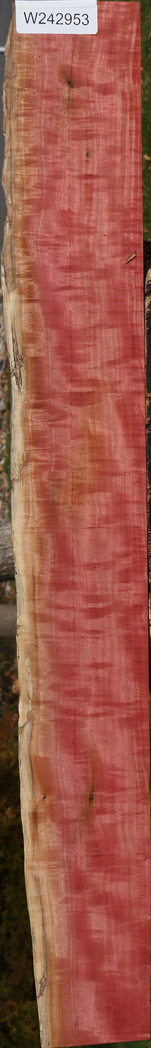 Extra Fancy Pink Ivory Live Edge Lumber
