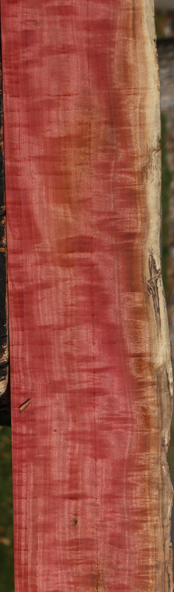 Extra Fancy Pink Ivory Live Edge Lumber
