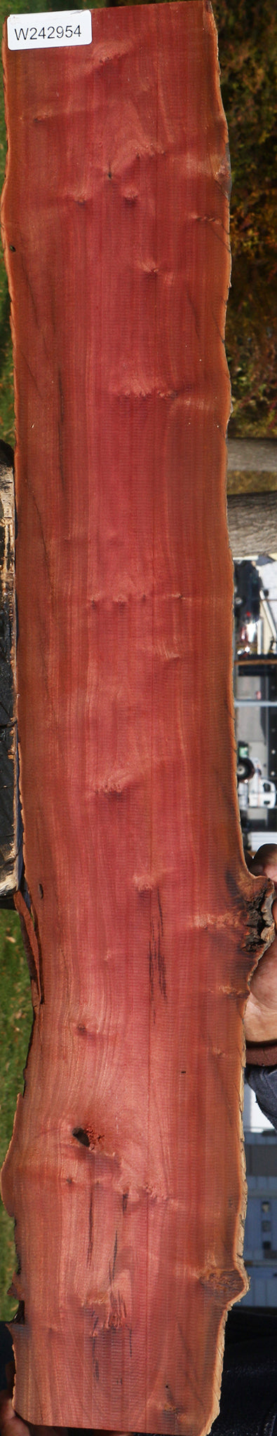 Figured Pink Ivory Live Edge Lumber