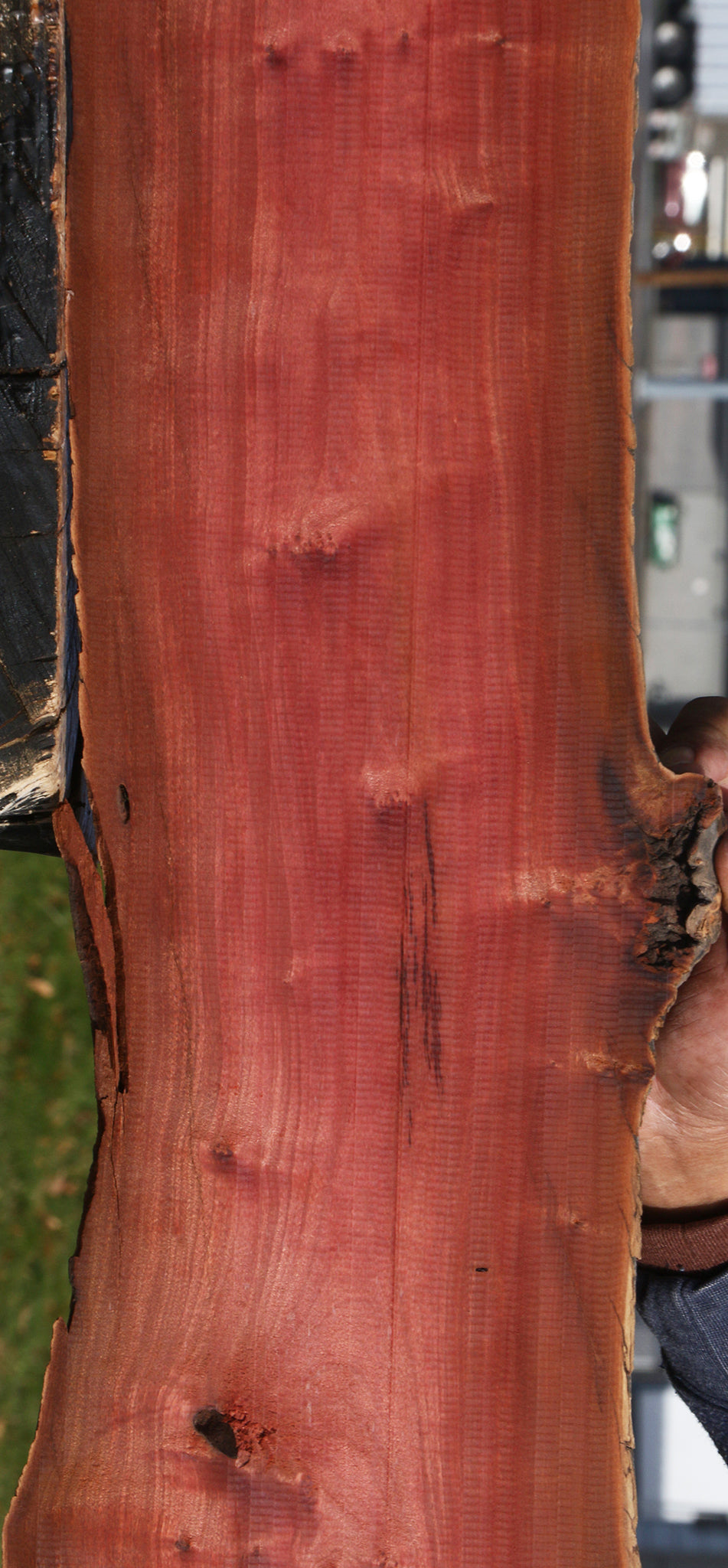 Figured Pink Ivory Live Edge Lumber