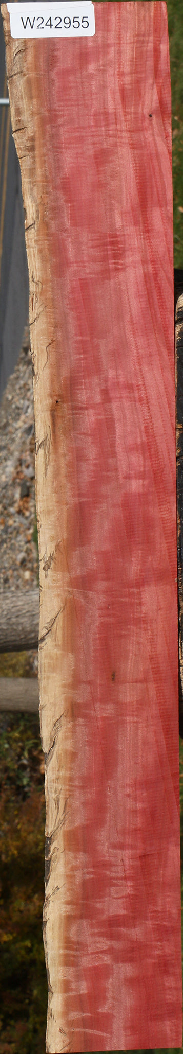 Extra Fancy Pink Ivory Live Edge Lumber