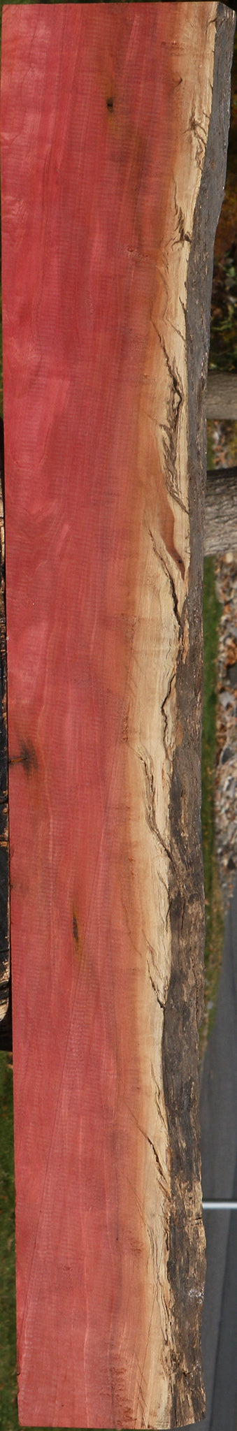 Extra Fancy Pink Ivory Live Edge Lumber