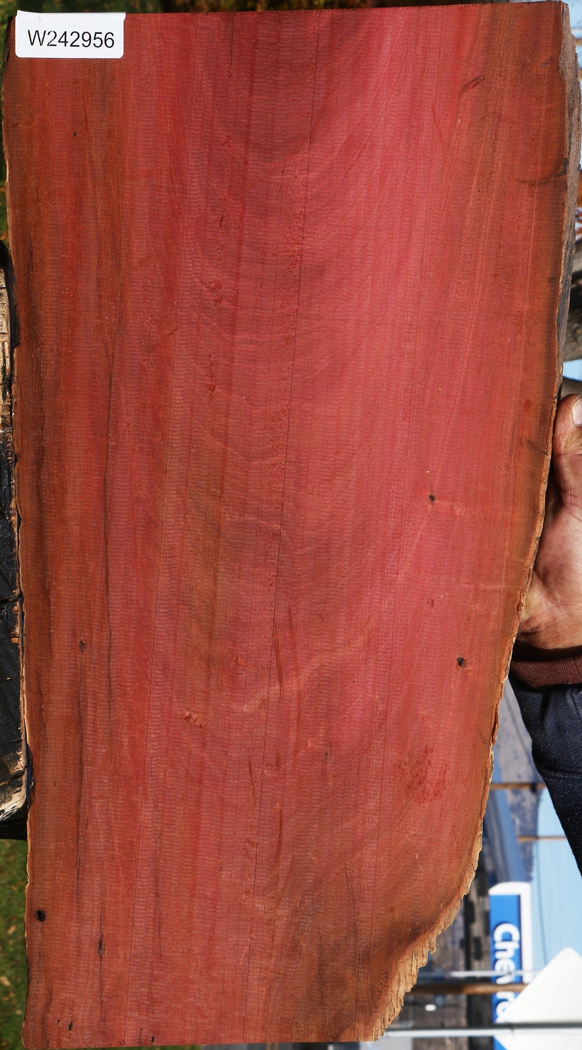 Figured Rustic Pink Ivory Live Edge Lumber