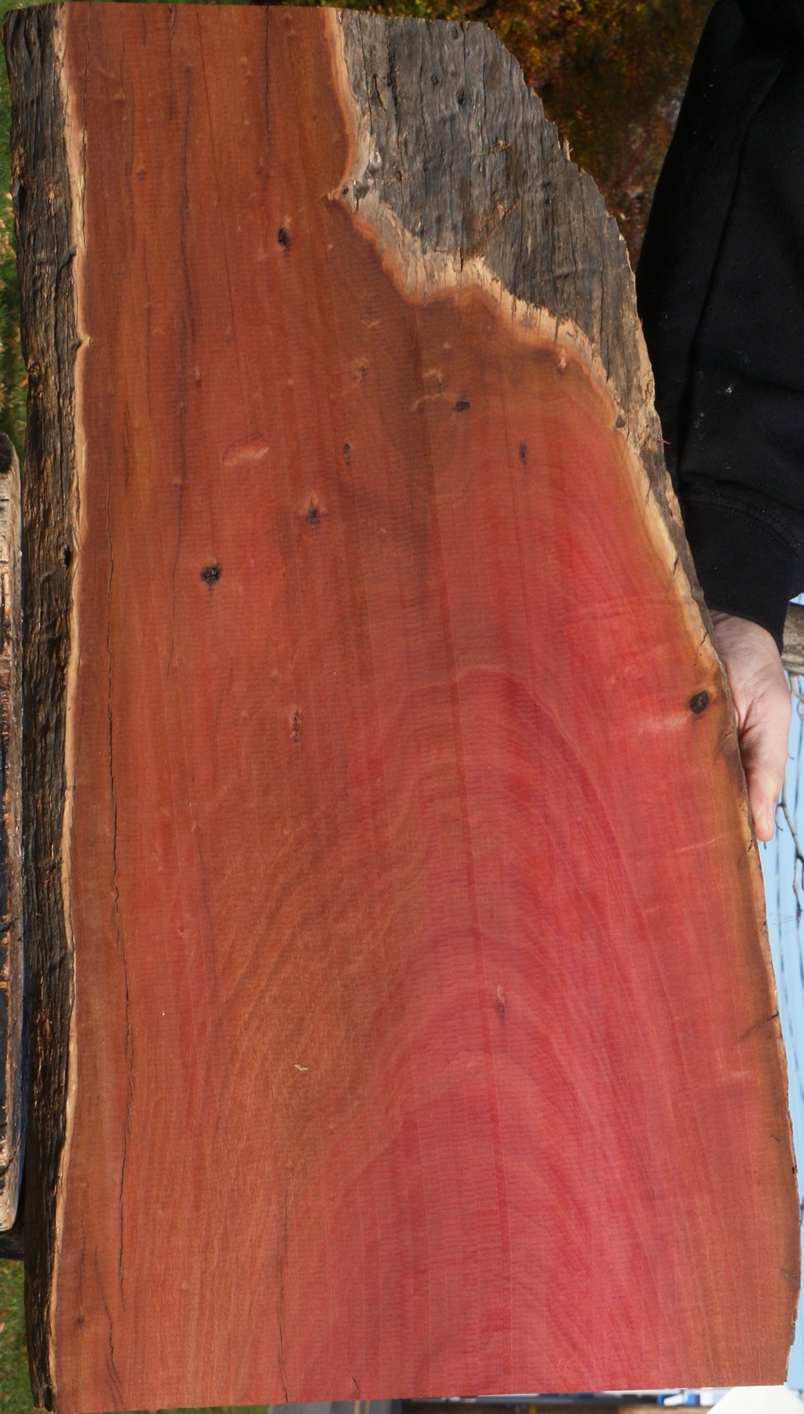 Figured Rustic Pink Ivory Live Edge Lumber