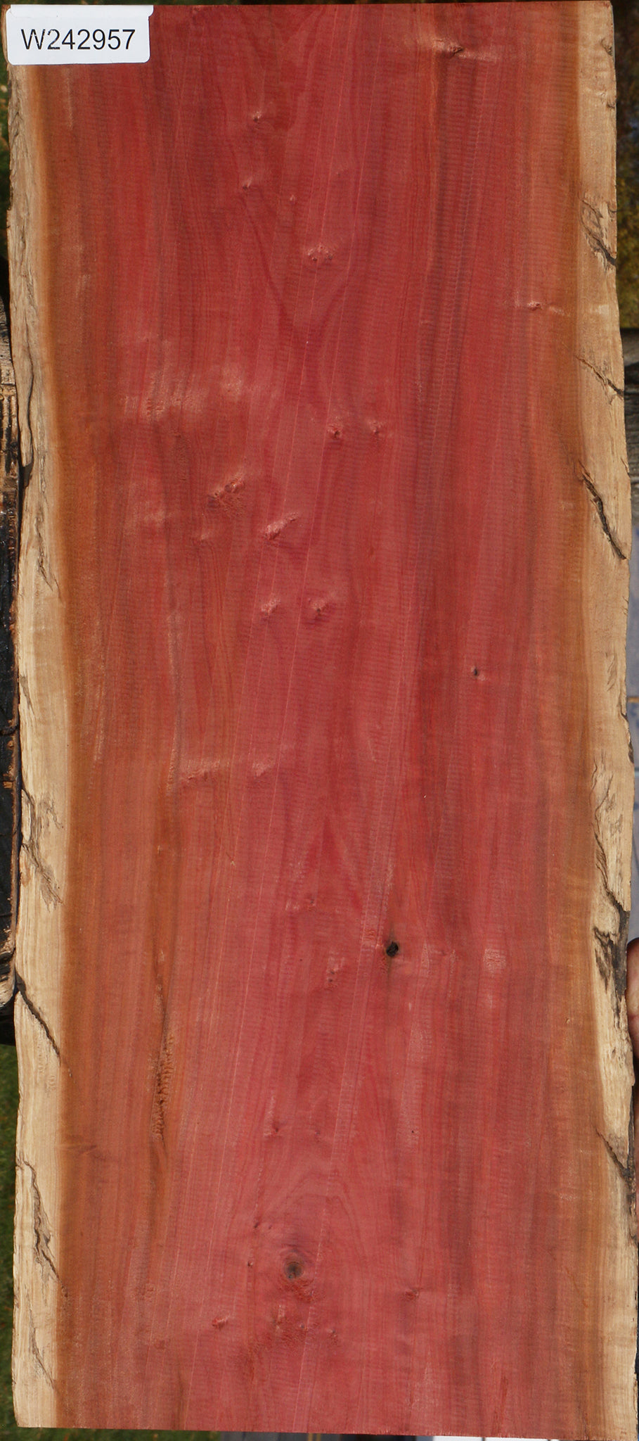 Figured Rustic Pink Ivory Live Edge Lumber
