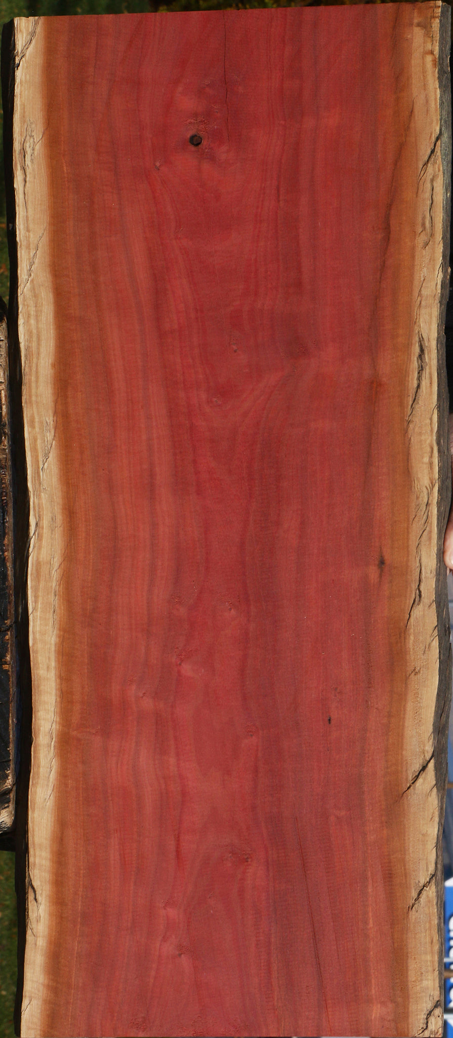 Figured Rustic Pink Ivory Live Edge Lumber