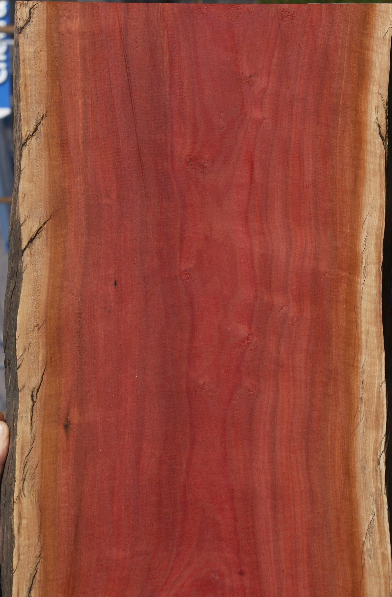 Figured Rustic Pink Ivory Live Edge Lumber