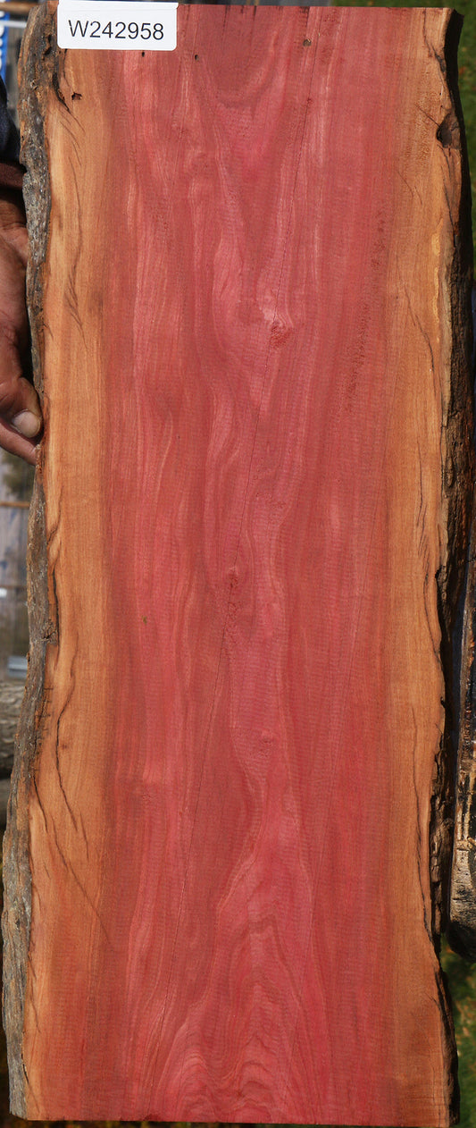 Figured Pink Ivory Live Edge Lumber