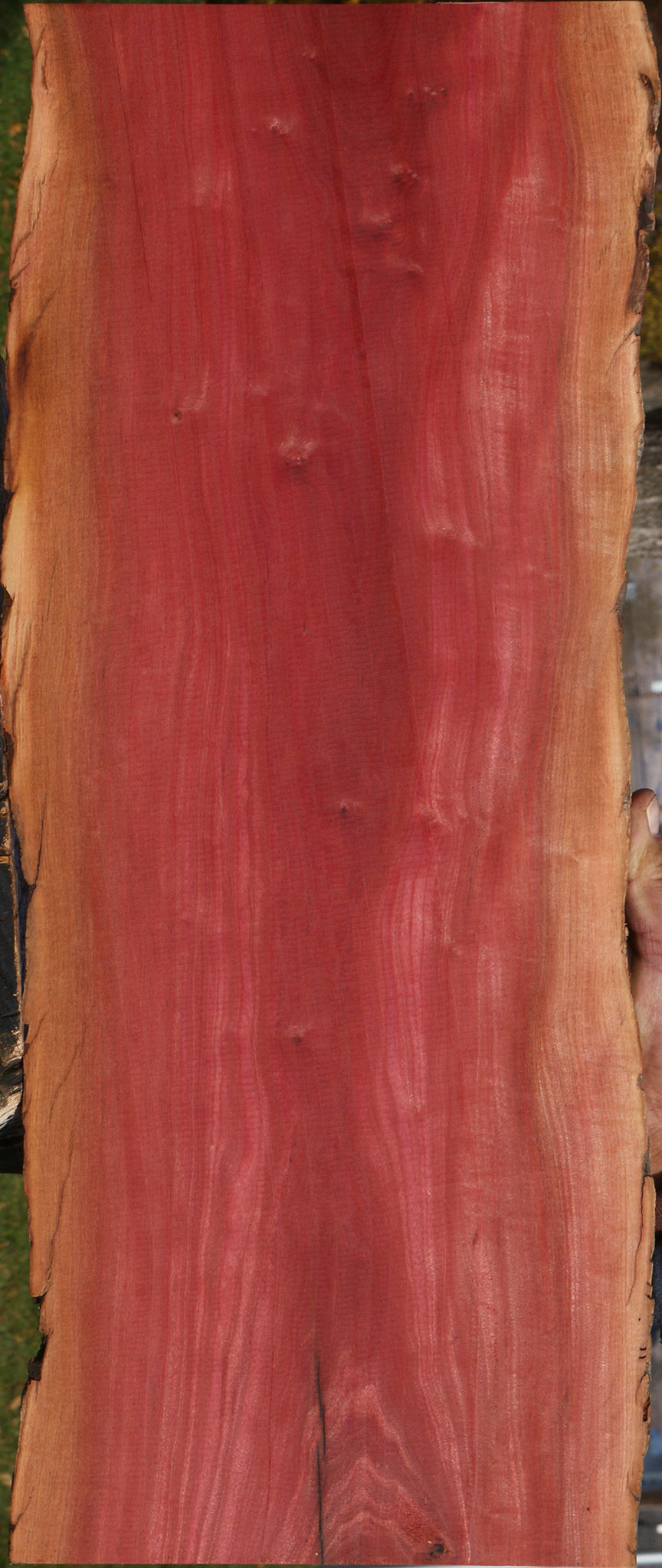 Figured Pink Ivory Live Edge Lumber