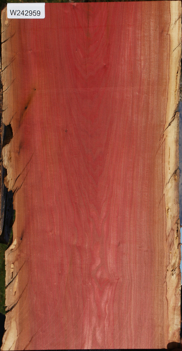 Pink Ivory – Cook Woods