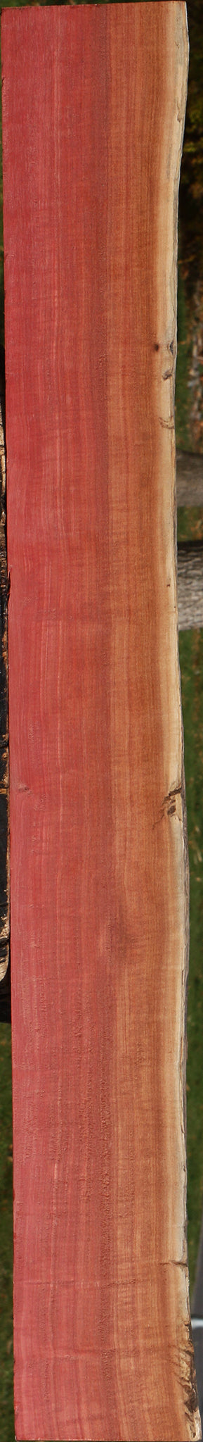Extra Fancy Quartersawn Pink Ivory Live Edge Lumber