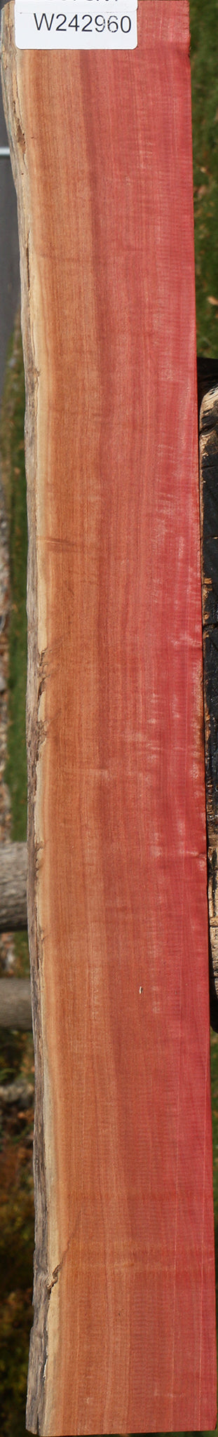 Extra Fancy Quartersawn Pink Ivory Live Edge Lumber