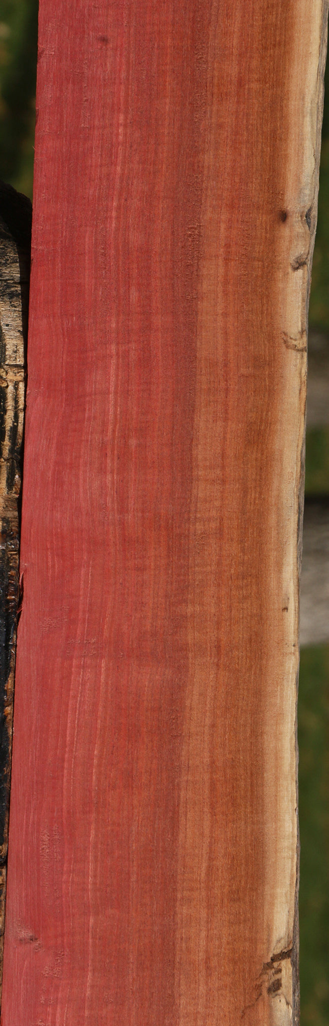 Extra Fancy Quartersawn Pink Ivory Live Edge Lumber