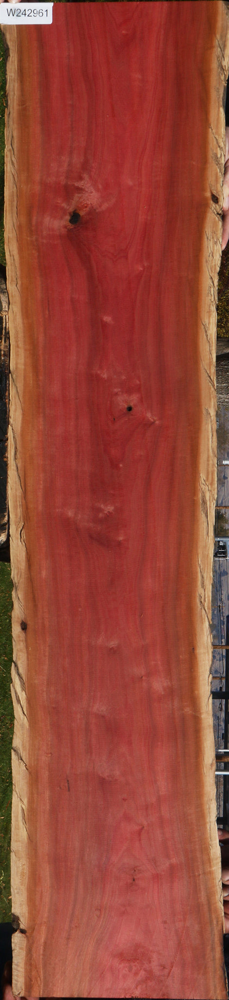 Figured Pink Ivory Live Edge Lumber