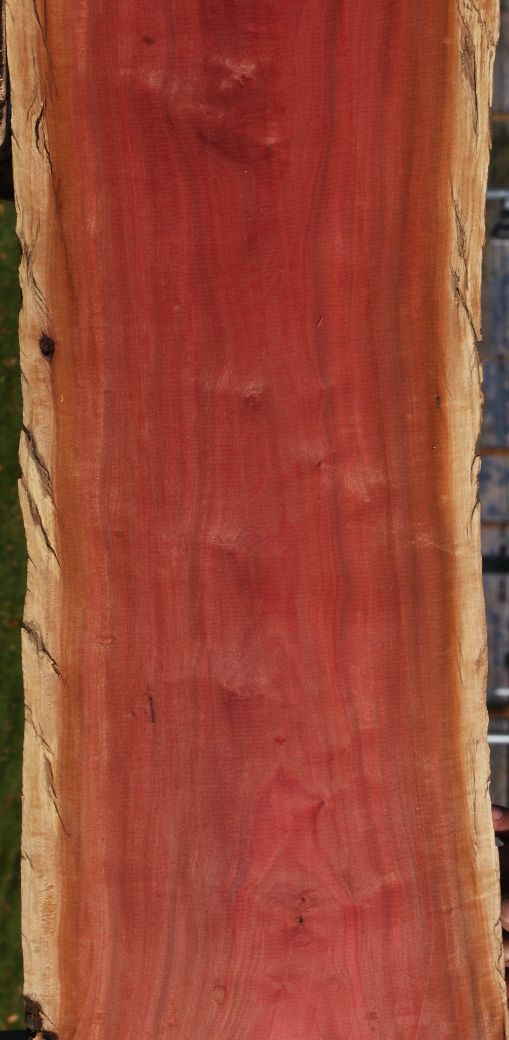 Figured Pink Ivory Live Edge Lumber
