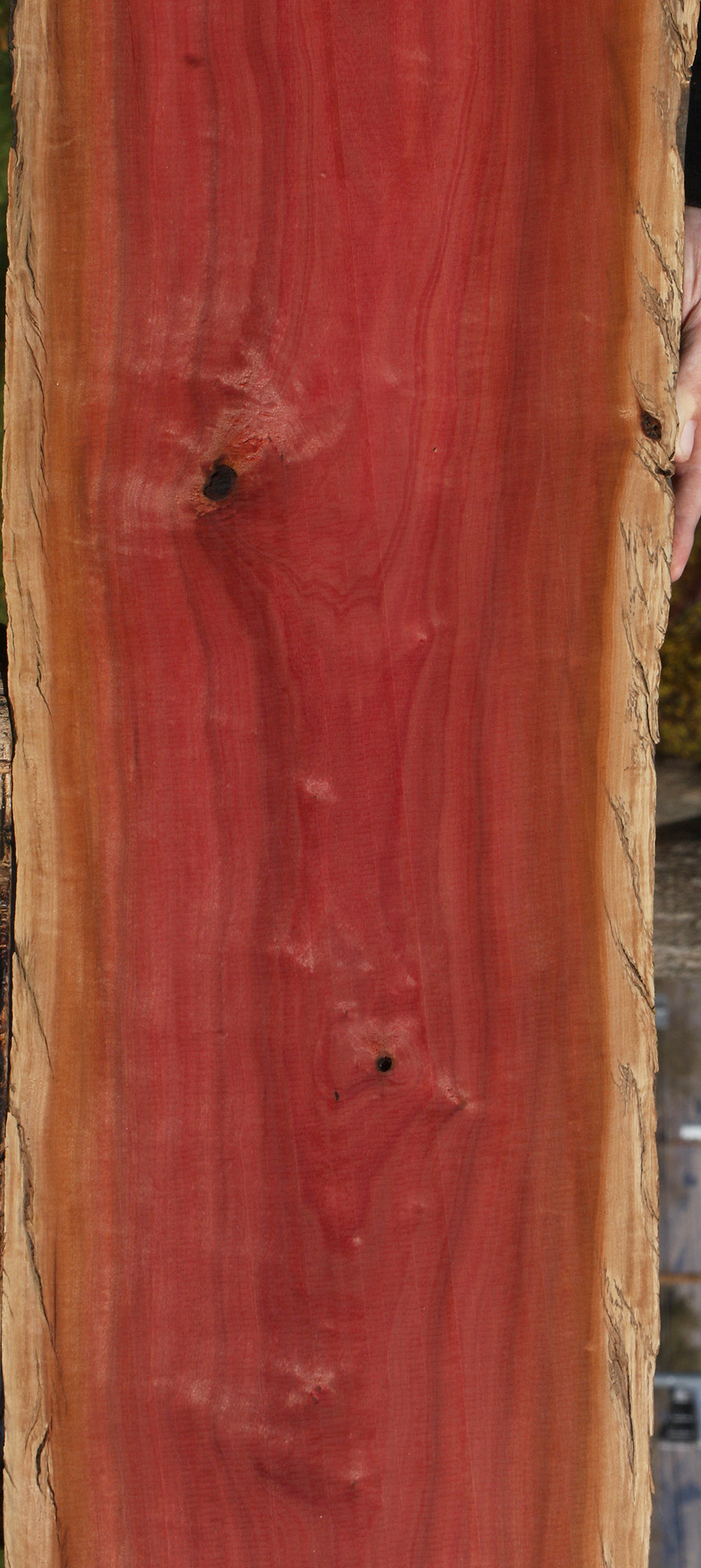 Figured Pink Ivory Live Edge Lumber