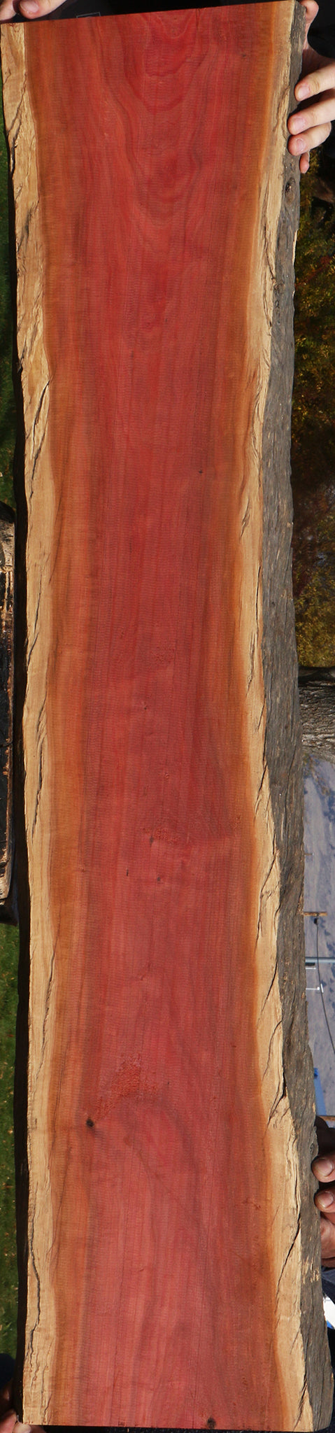Figured Pink Ivory Live Edge Lumber