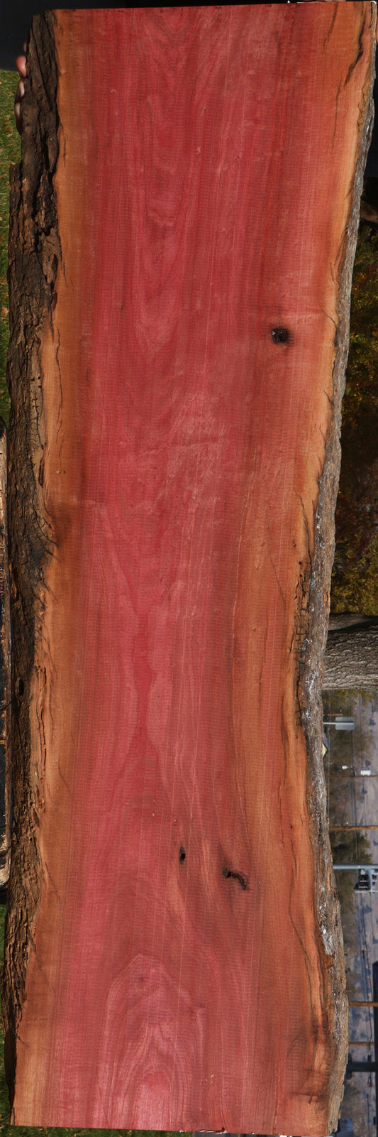Figured Pink Ivory Live Edge Lumber