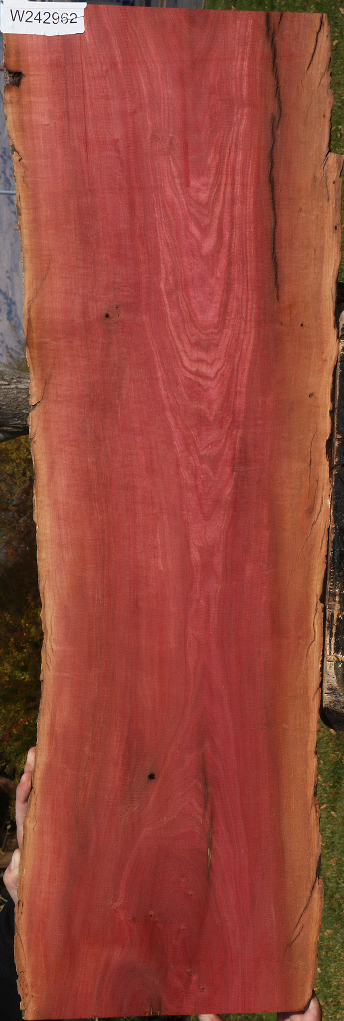 Figured Pink Ivory Live Edge Lumber