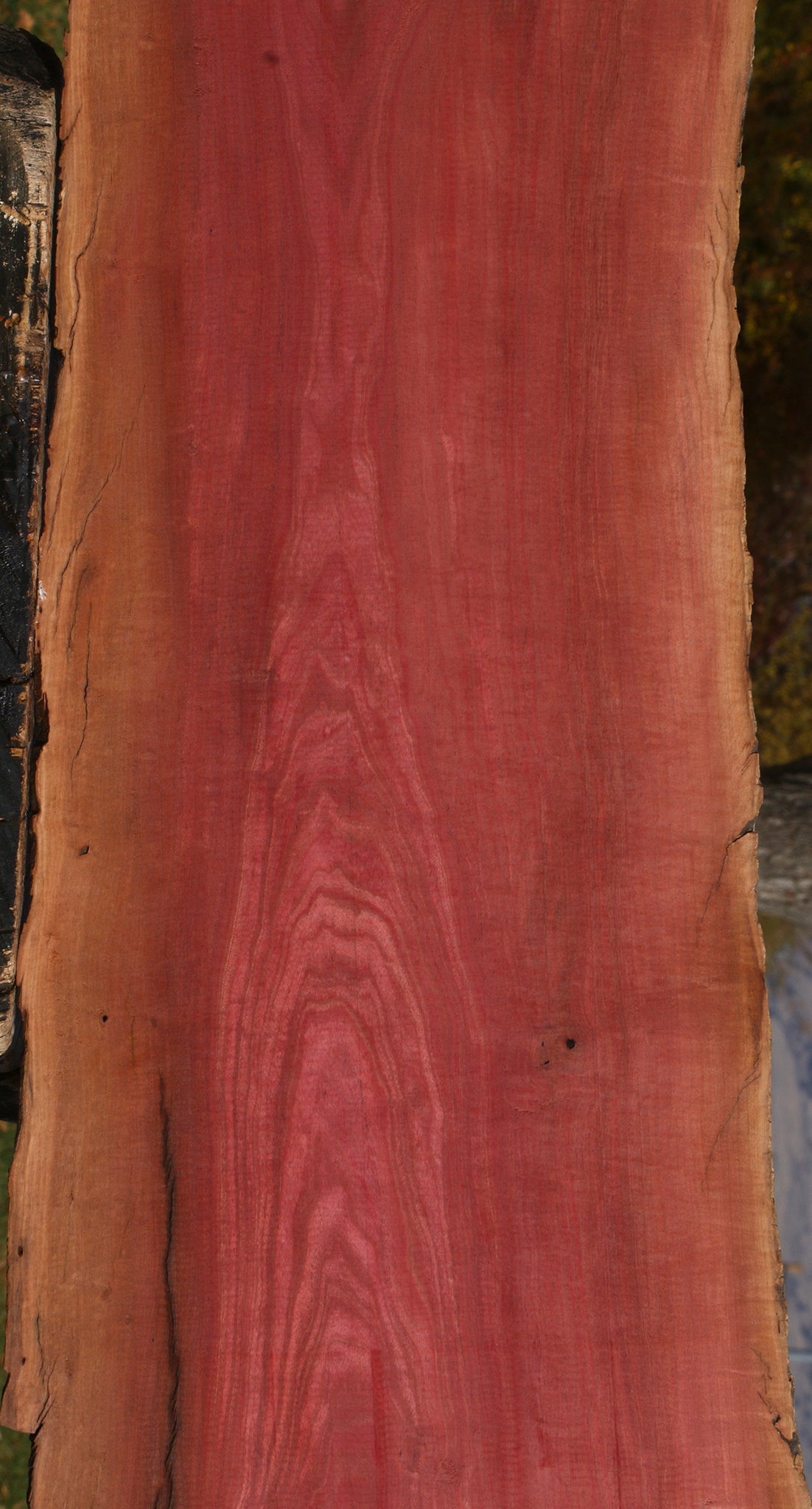 Figured Pink Ivory Live Edge Lumber