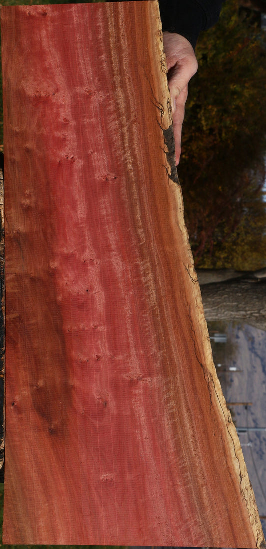 Extra Fancy Pink Ivory Live Edge Lumber