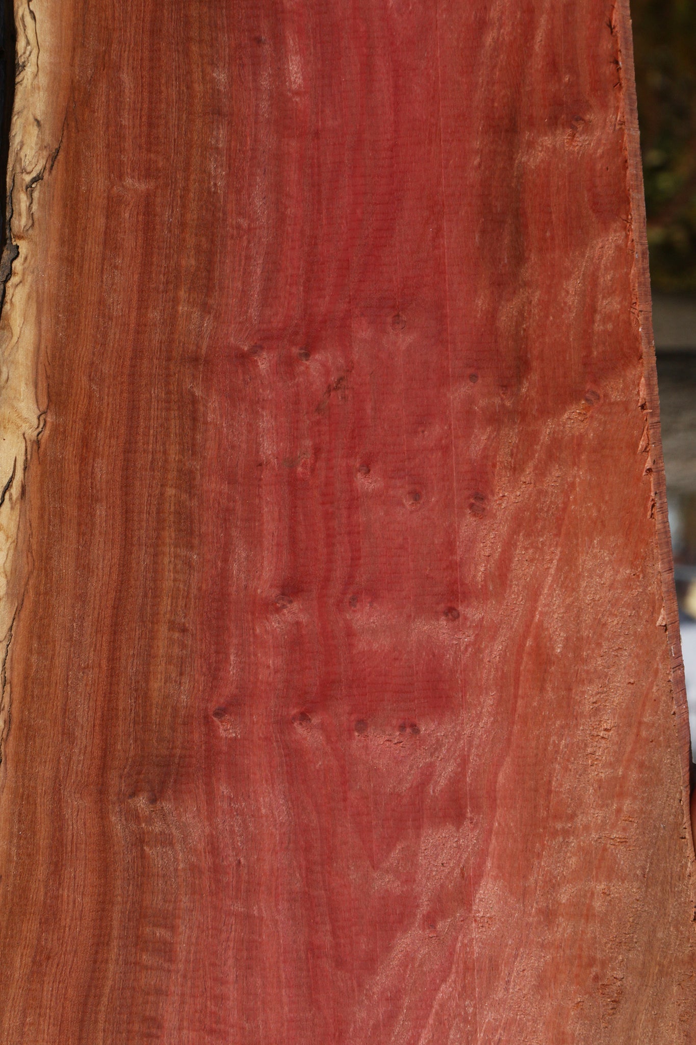 Extra Fancy Pink Ivory Live Edge Lumber