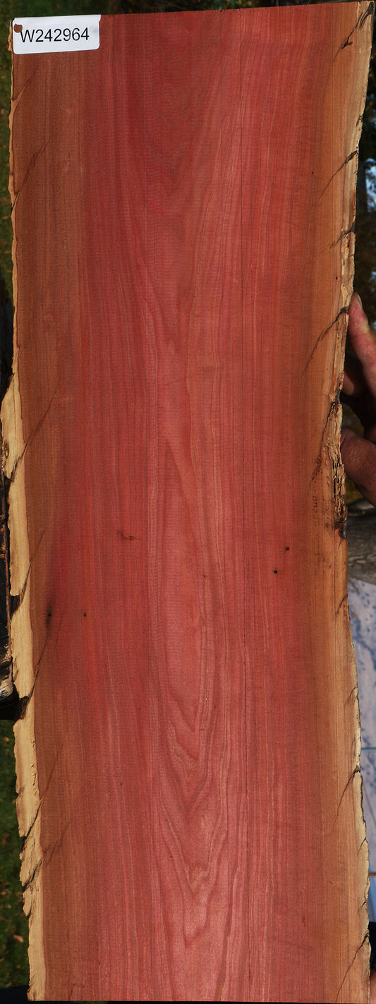 Pink Ivory Live Edge Lumber