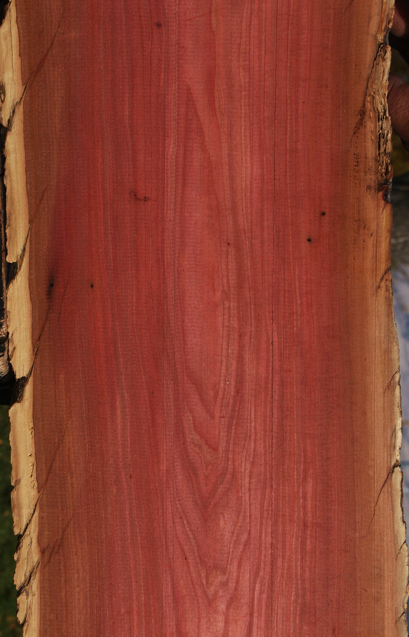 Pink Ivory Live Edge Lumber