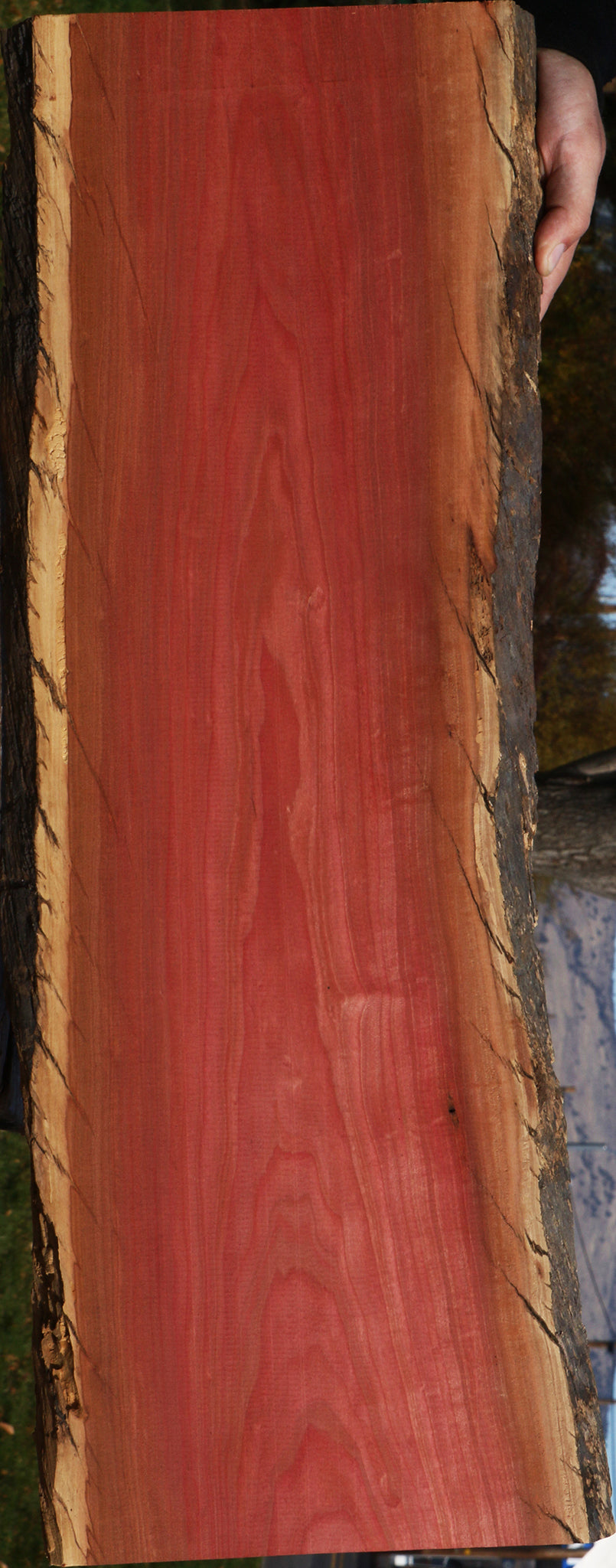 Pink Ivory Live Edge Lumber