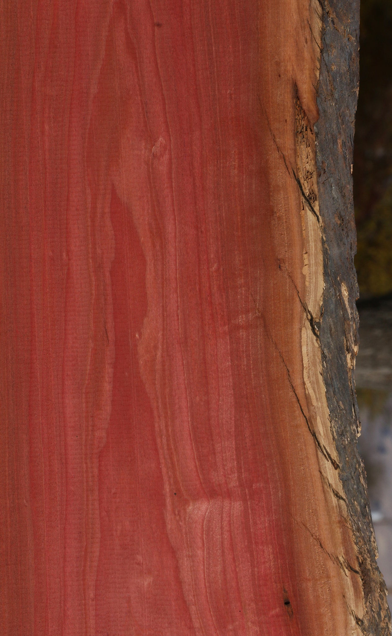 Pink Ivory Live Edge Lumber