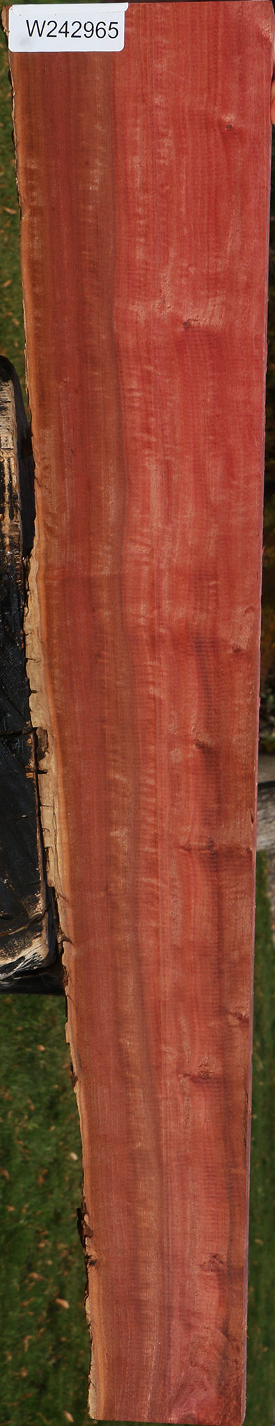 Extra Fancy Pink Ivory Live Edge Lumber