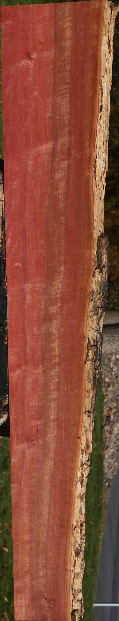 Extra Fancy Pink Ivory Live Edge Lumber