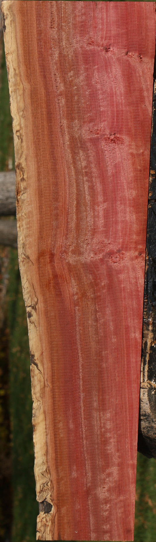 Figured Pink Ivory Live Edge Lumber