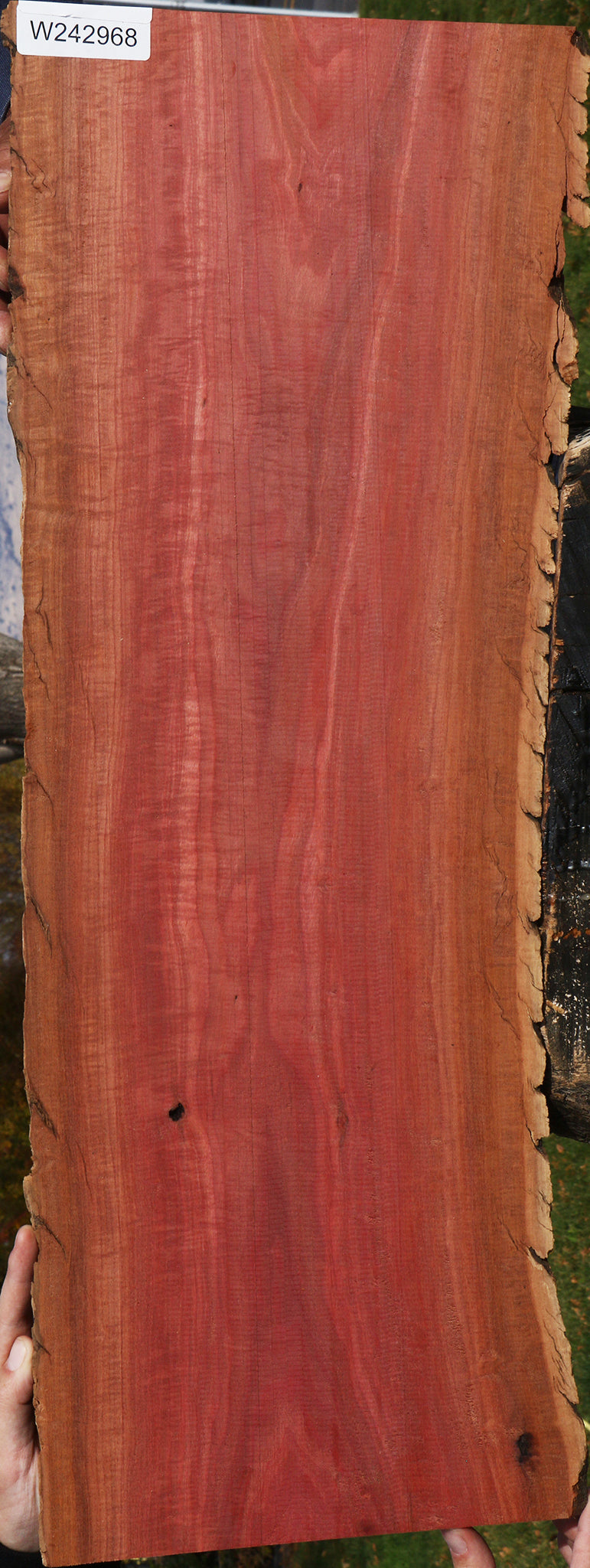Extra Fancy Pink Ivory Live Edge Lumber