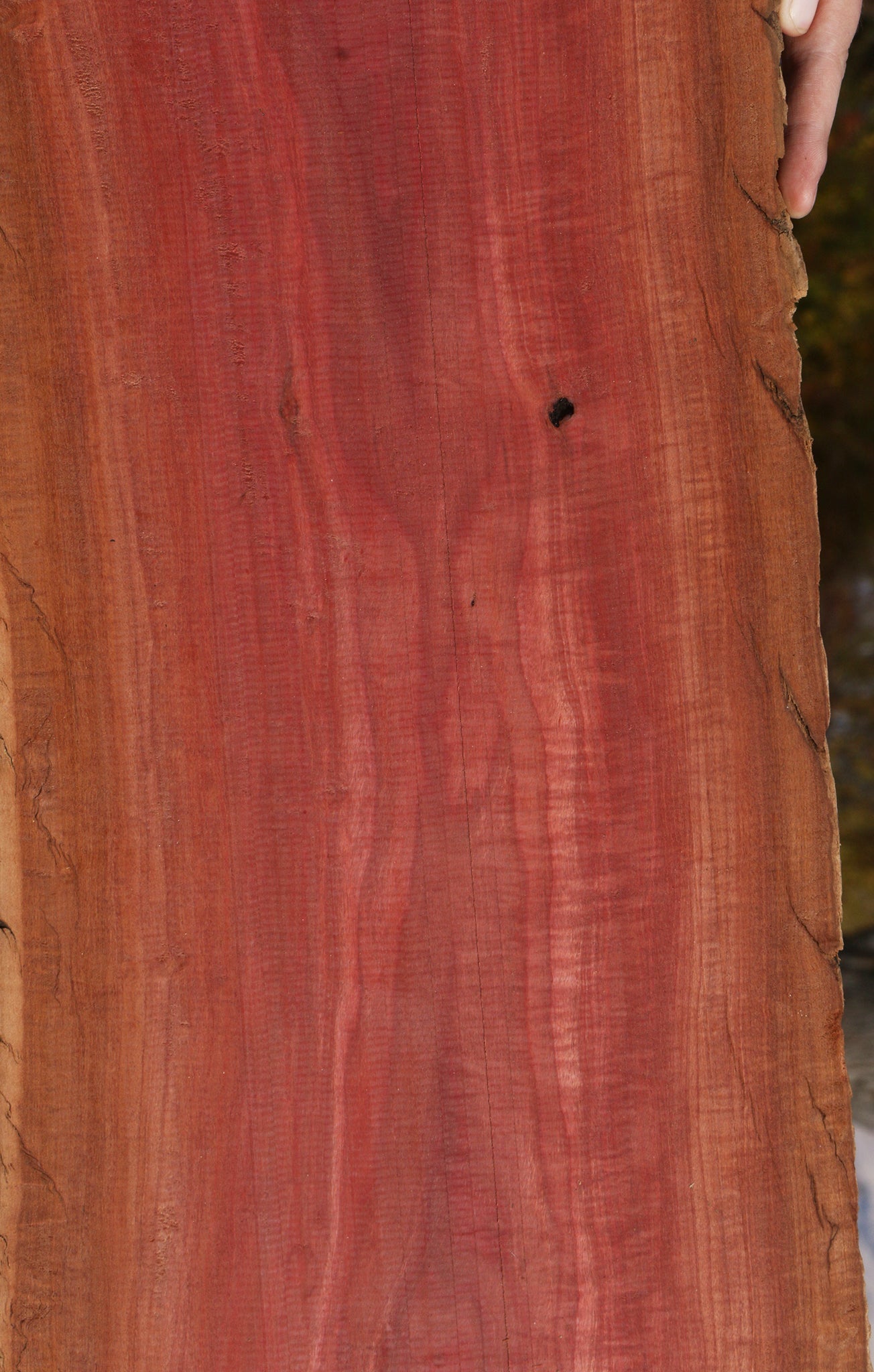 Extra Fancy Pink Ivory Live Edge Lumber