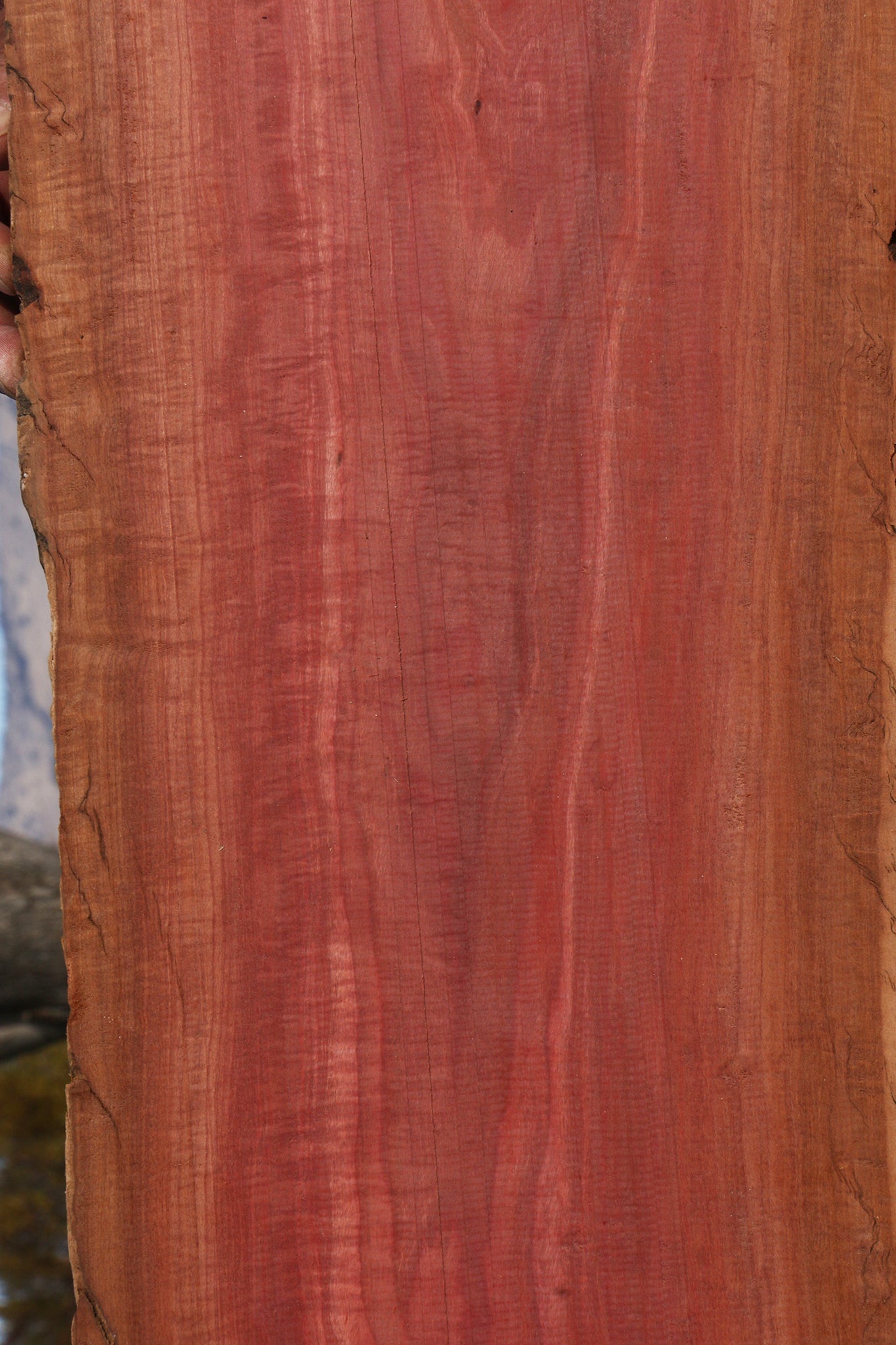 Extra Fancy Pink Ivory Live Edge Lumber