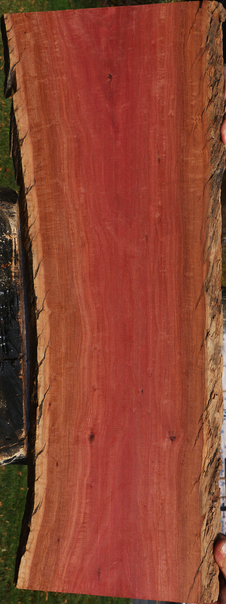 Extra Fancy Pink Ivory Live Edge Lumber