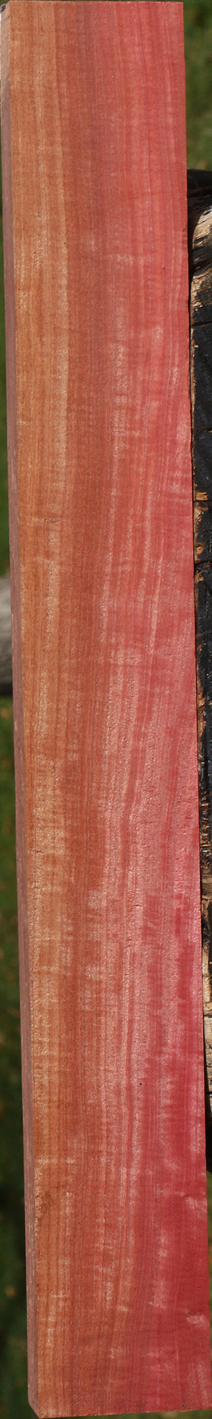 Extra Fancy Pink Ivory Lumber