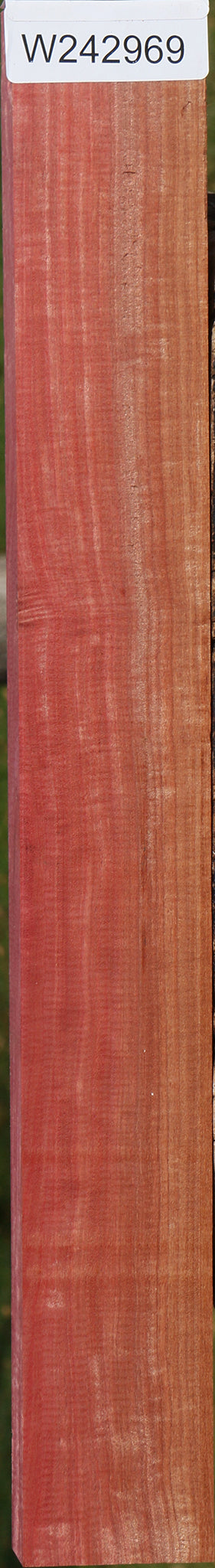 Extra Fancy Pink Ivory Lumber